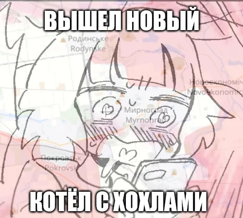 Наконец то!