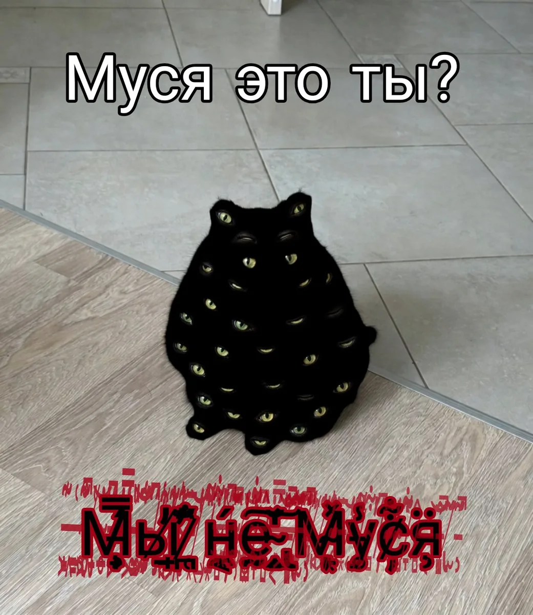 не Муся
