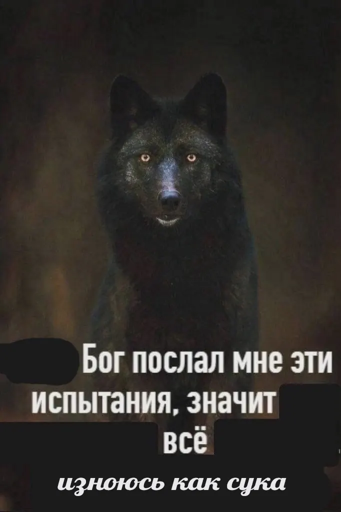 Saved meme 2