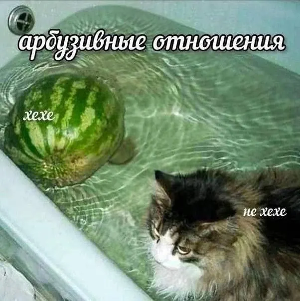 Saved meme 15