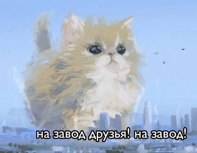 Saved meme 16