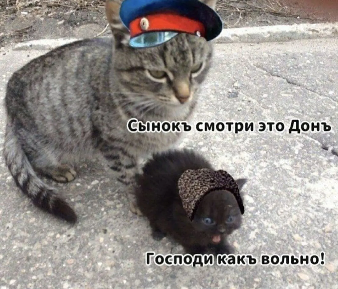 Saved meme 22