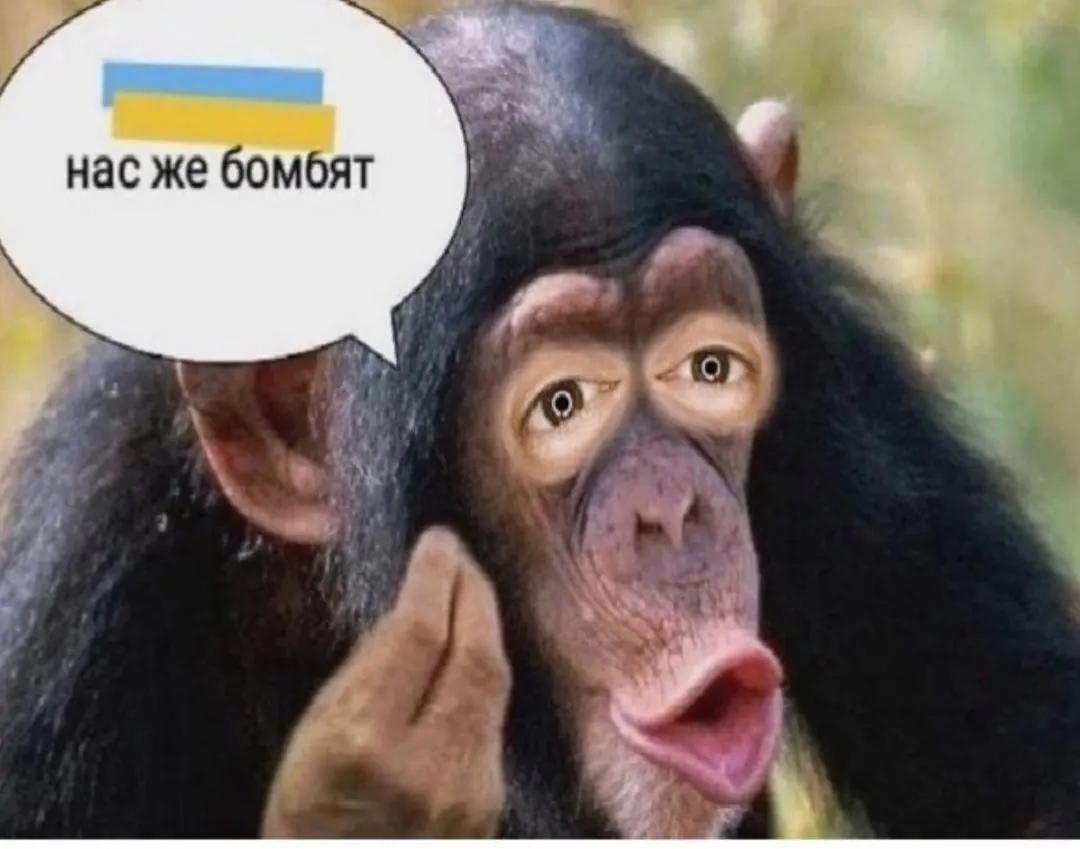 Saved meme 40